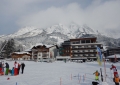 DSCN0526