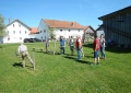 DSCN1147